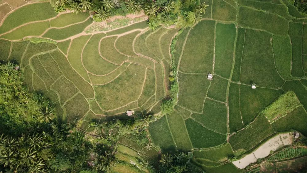 Designated executive leadership per territory